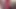 Shy Muslim Milf Moans Loud in Saree - Hijab Sex with Ass Pressing, Cuddling, Hard Mouth Fucking