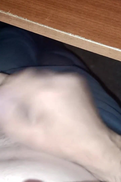 Only masturbation 49