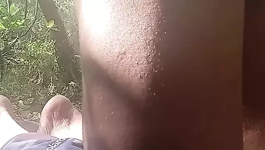Woods'ta exhibe
