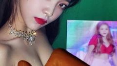 Yeri Red Velvet Cum Tribute (Cum On Tits)
