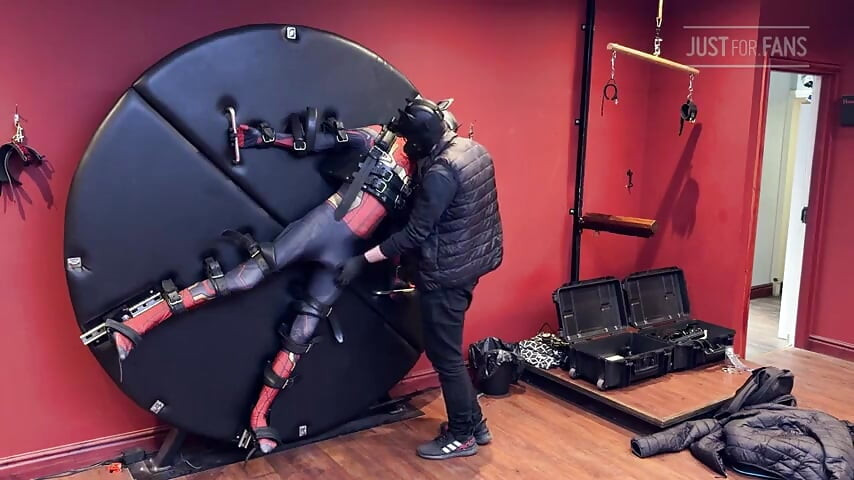 Cachorro Twink vestida como spider-man atado a la rueda de la esclavitud y ordeñado