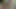 Punjabi Hint genç çift kahrolası sevmek çılgın