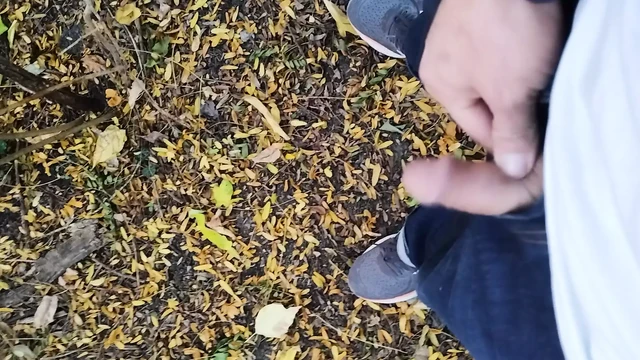 Golden Rain