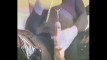 Pregled videozapisa