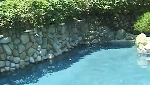 Wilder Pool-Sex