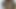 Gaping Wide Hairy Pussy Bush - Leaks Cum and Squirts Pee