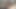 TS masterbates on twitter