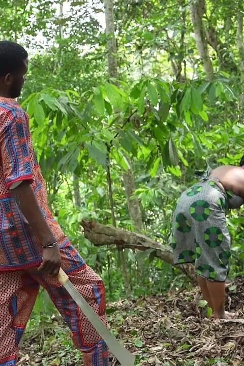 Seksi susret u džungli