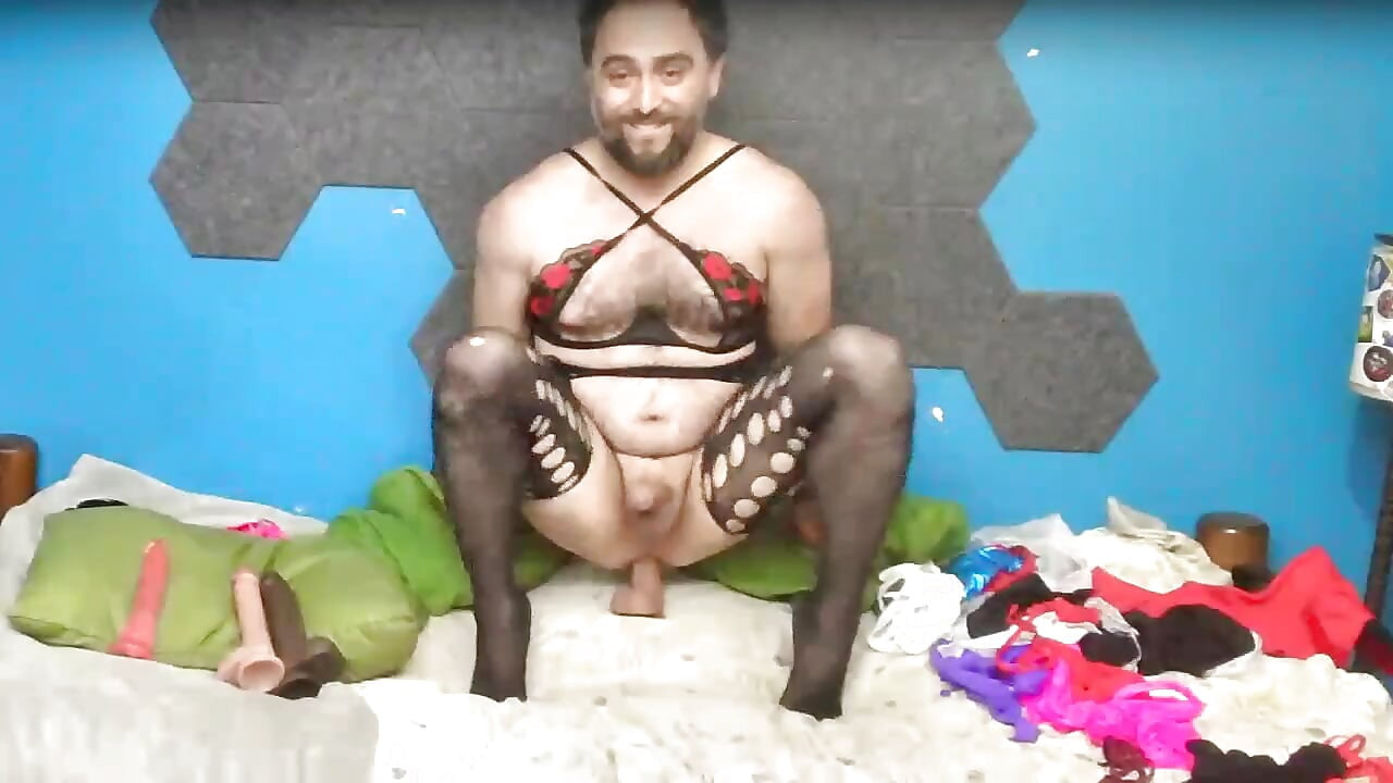 cadela barbudo posando ao vivo