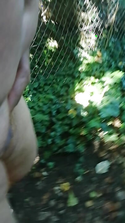 Gola šetnja šumom