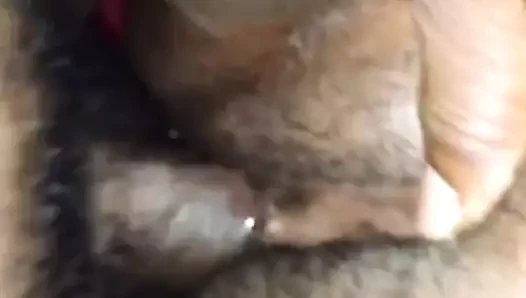 lanet ona kedi