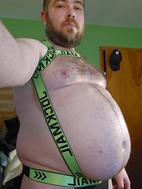 Big Boy in a Harness