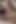 Asian Angel 20583