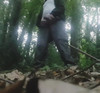 Pregled videozapisa