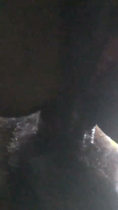 He used Nookiescookies' pussy juice to fuck her ass in the park | Clip 3