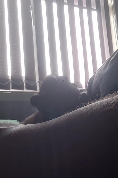 Masturbate, Edgeing Cock Gentle Tease Pre Cum