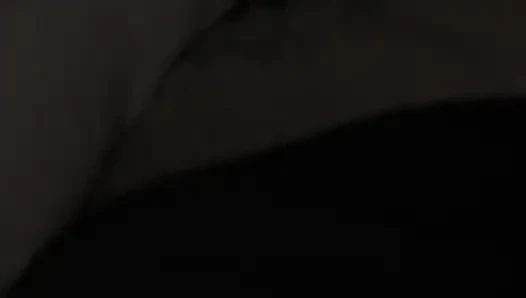 Die Schwanzsautscher!!