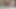Precum