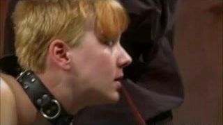 Redhead Flogged And Vibrated