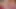 Pornstarplatinum - rachel love lagi asik ngentot strap-on veronica avluv