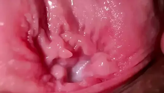 Super gros plan - c’est à quoi ressemble l’intérieur du vagin