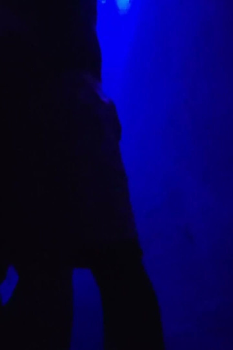 Sex XXX Video Desi Girls