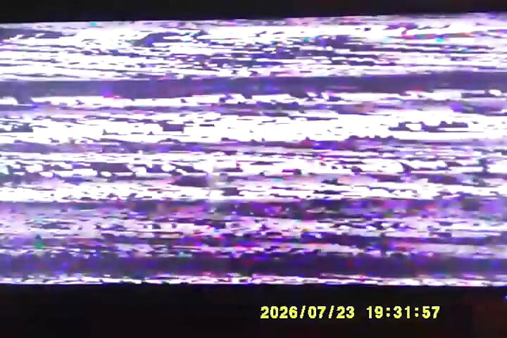 Dải Mẫu Quốc Tế Thoát Y 1985