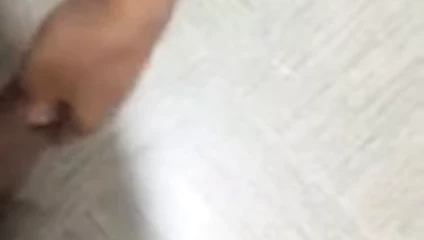 Srilankan korkak domuz boi kamu ceza &amp; cei