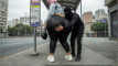 Pratinjau video