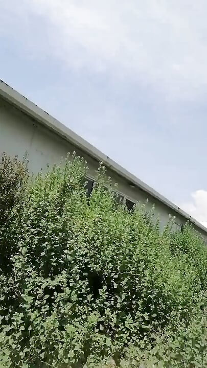 Birouri în El Monte.