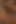 Zenci Asses_scene_3_slim, azgın zenci orta yaşlı seksi kadın büyük zenci yarağının tadını çıkarıyor