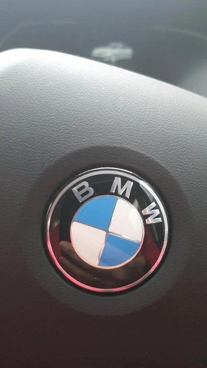 Stepmom has sex in the car with Pakistani stepson