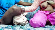 Pregled videozapisa