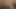 Resort Sex Video