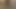 Goldene Riemchensandalen und Strumpfhosen