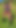 OnlyFans teaser - This super-cute sheep followed me around the entire shoot!