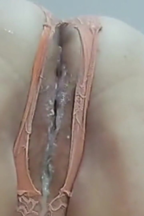 My Cock Slides in a Creamy Flowing Cunt 3