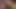 5.33 dakikalık videonun tamamını almak için benimle iletişime geçin.#pussy #young5