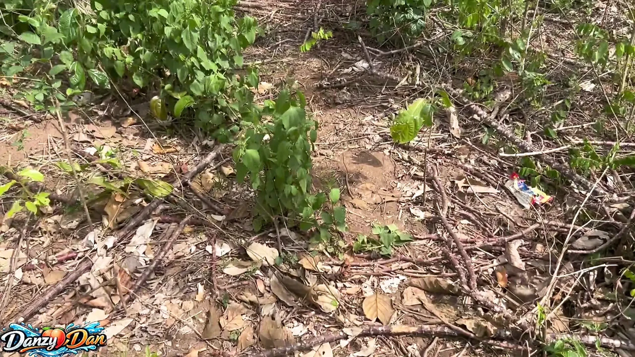 Cruising and Digging in the Woods,Danbottom12