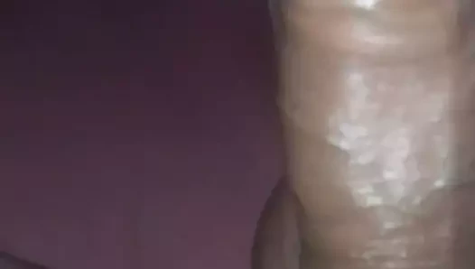 gummimuschi içinde Kleiner dicker schwanz