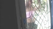 Pratinjau video