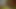 Chinesischer Junge großer Cumshot