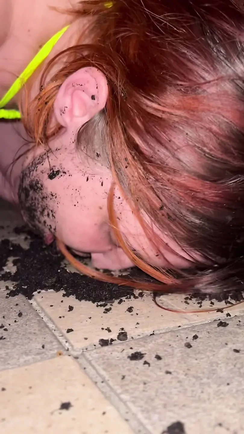 Mud, Licking Shoe, Toilet Washing