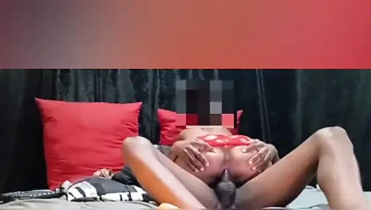 Si mungil warna kuning adalah penunggang yang aduhai