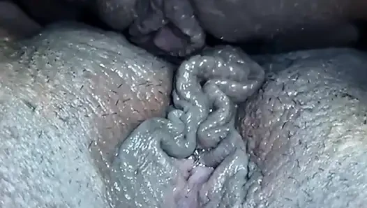 HOT TRIBBING