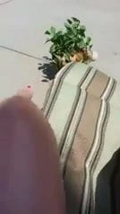 bitch  showing from america her sexy hot legs