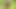 African sweet Sexy bitch got fucked with big black Dick in the bush