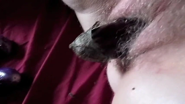 Eggplant in her hairy cunt
