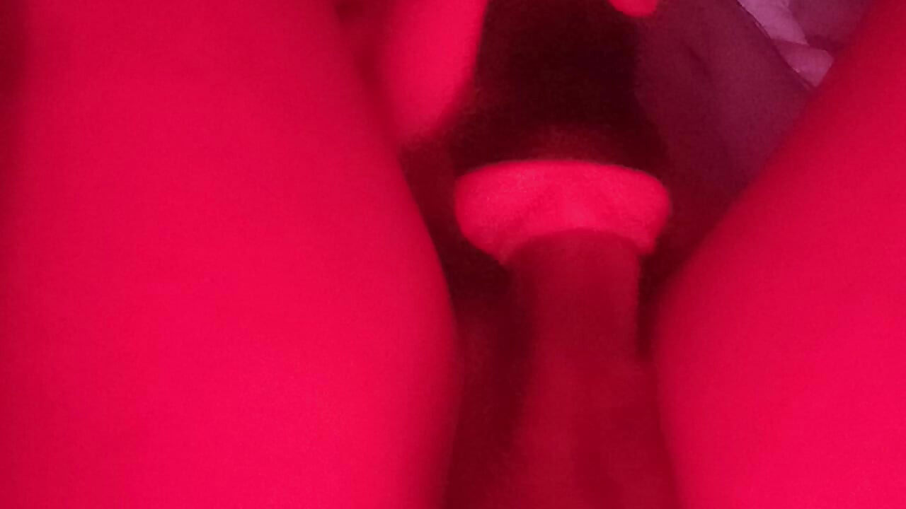 Dan toplog mleka 1626