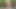 Little Elf Finds a Girl Lost in the Woods and in Exchange for Helping Her Get Out, He Gives Her a Delicious Fuck.